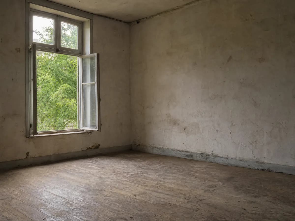 Lege, geveegde ruimte na het opruimen van een vervuilde woning